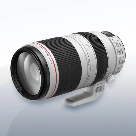 Canon EF 100-400mm F4.5-5.6L IS II USM Objektiv günstig