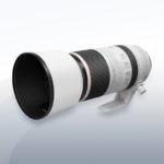 Canon RF 100-500mm_4,5-7,1 L IS USM 4 Objektiv Vermietung