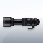 Sigma 150-600mm F5-6.3 DG DN OS Sports Sony E-Mount Objektiv Vermietung3