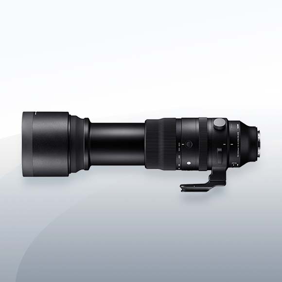 Sigma 150-600mm F5-6.3 DG DN OS Sports Sony E-Mount Objektiv Vermietung3