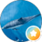 Enno Oldigs Avatar